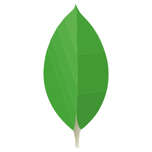 mongodb image